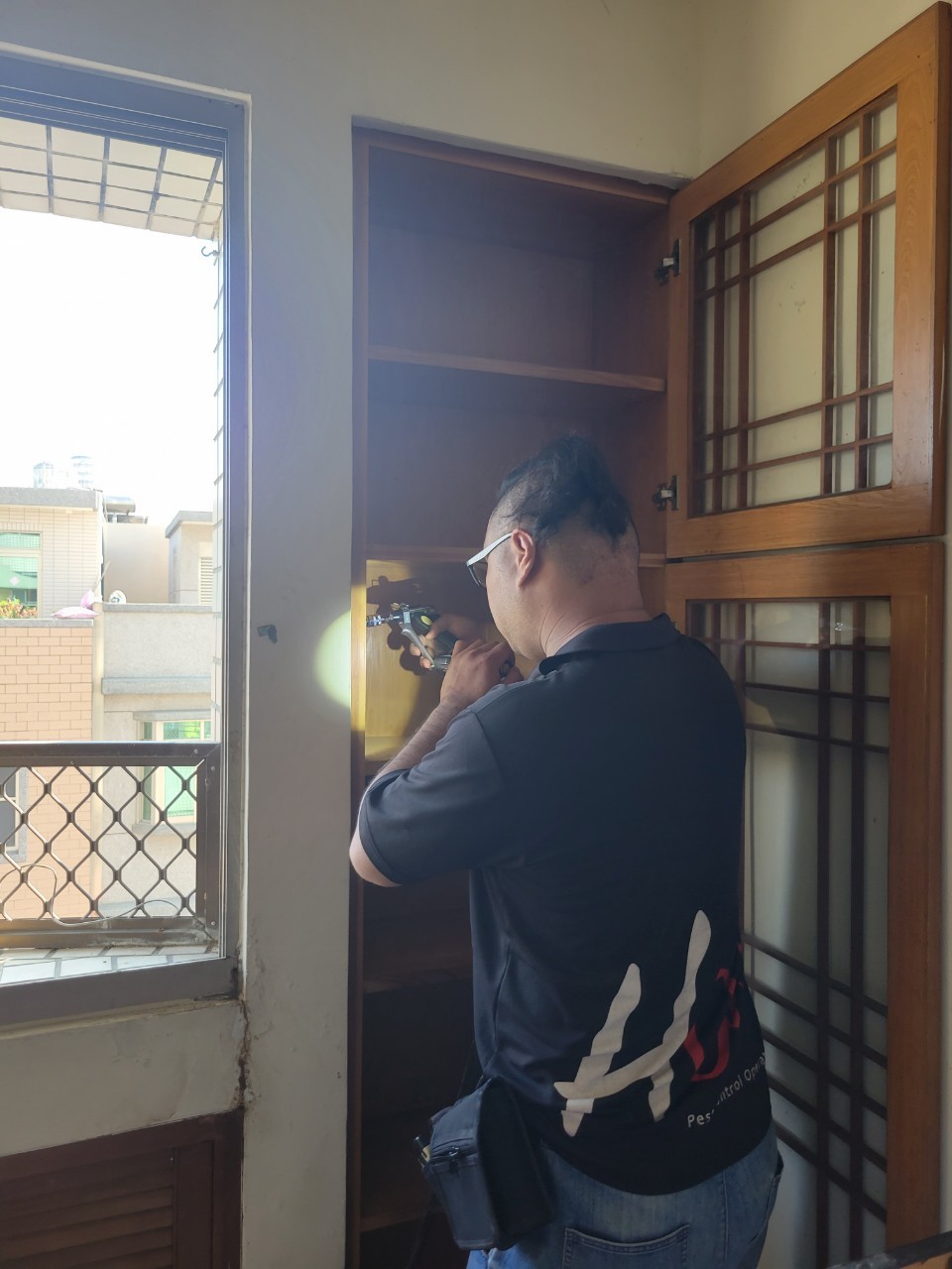 20231104白蟻防治的第3張圖片